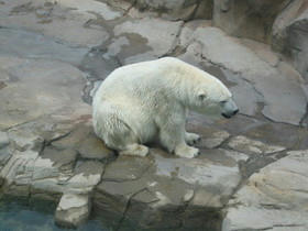 2004_0718_111805AA.JPG