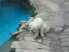 2004_0718_111833AA.JPG