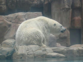 2004_0718_112157AA.JPG