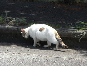 2009_0419_105042AA1.JPG