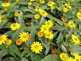 2009_0802_101815AA1.JPG