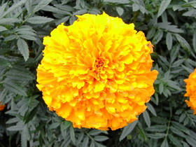 2009_0802_101915AA1.JPG