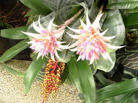 2009_0802_103952AA1.JPG