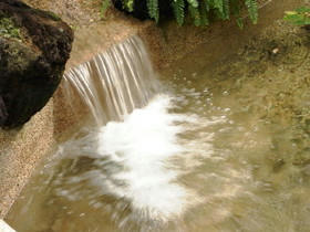 2009_0802_104044AA1.JPG