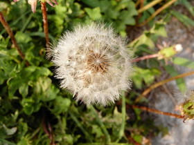 2009_0614_165455AA1.JPG