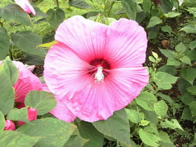 2009_0802_104347AA1.JPG