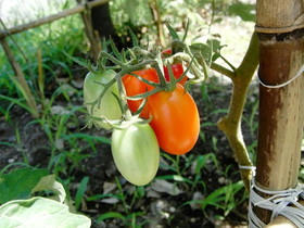 2009_0808_125328AA1.JPG