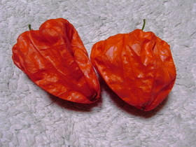 2009_0808_214723AA1.JPG