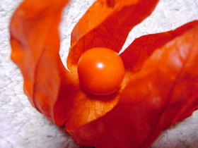 2009_0808_214837AA1.JPG