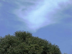 2009_0808_123727AA1.jpg