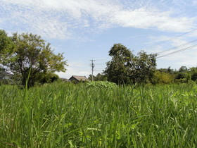 2009_0824_114338AA1.jpg