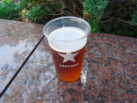 2009_0920_131348AA1.jpg
