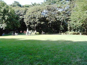 2009_0920_141029AA1.jpg