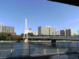 2009_1115_135148AA1.JPG
