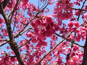 2010_0314_125823AA1.jpg