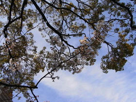 2010_0327_142403AA1.jpg
