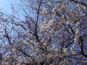 2010_0327_142614AA1.jpg