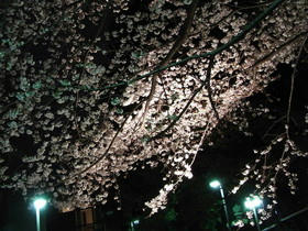 2010_0331_205905AA1.jpg