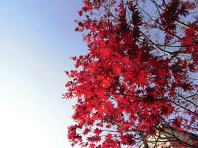 2010_0410_153458AA1.jpg