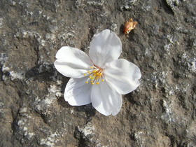 2010_0410_153610AA1.jpg