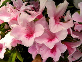 2010_0503_163916AA1.JPG
