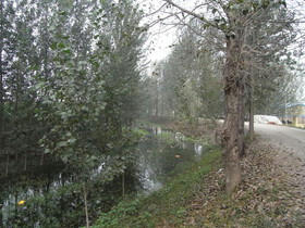 2011_0929_161254A.jpg