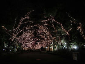 2012_0218_183042A.JPG