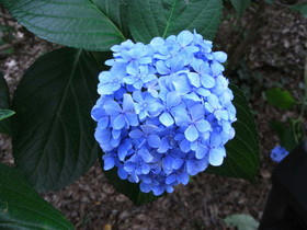 2011_0723_101100A.jpg