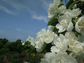 2013_0526_135710A.jpg