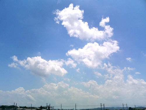 photo01
