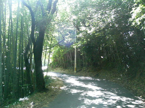 photo02
