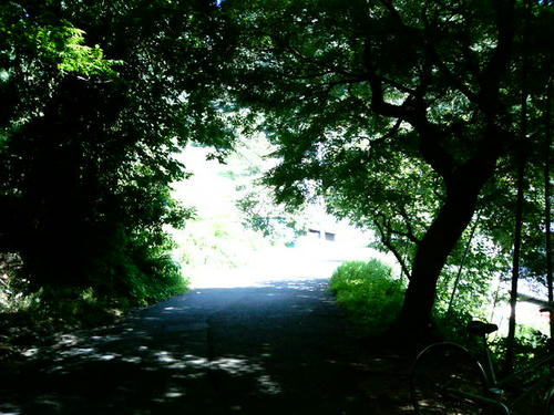 photo03