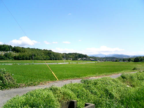 photo05