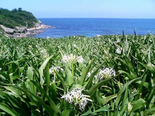 photo01