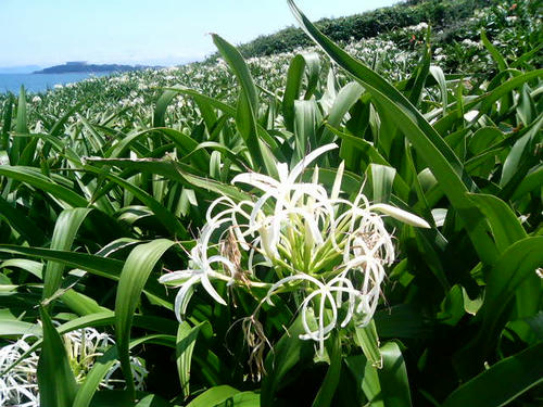 photo02
