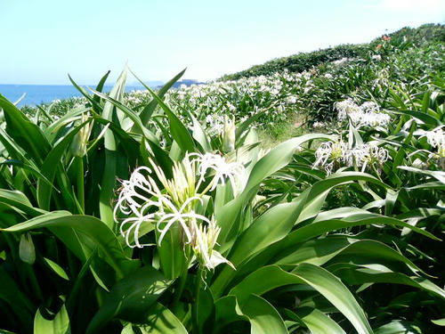 photo03