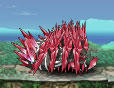 kumo_2.jpg