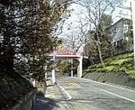 100209_101234.jpg