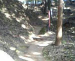 100319_144634.jpg