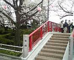 100403_101842.jpg
