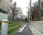 100403_103129.jpg