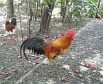 100403_121728.jpg