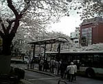 100403_123839.jpg