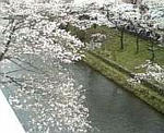 100403_133852.jpg