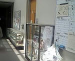 100606_133039.jpg