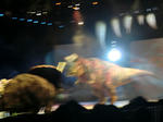 CIMG0024.JPG