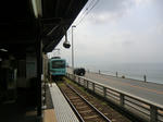 CIMG0042.jpg