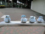 CIMG0043.jpg