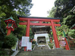 CIMG0044.jpg