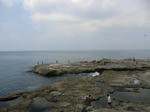 CIMG0052.jpg